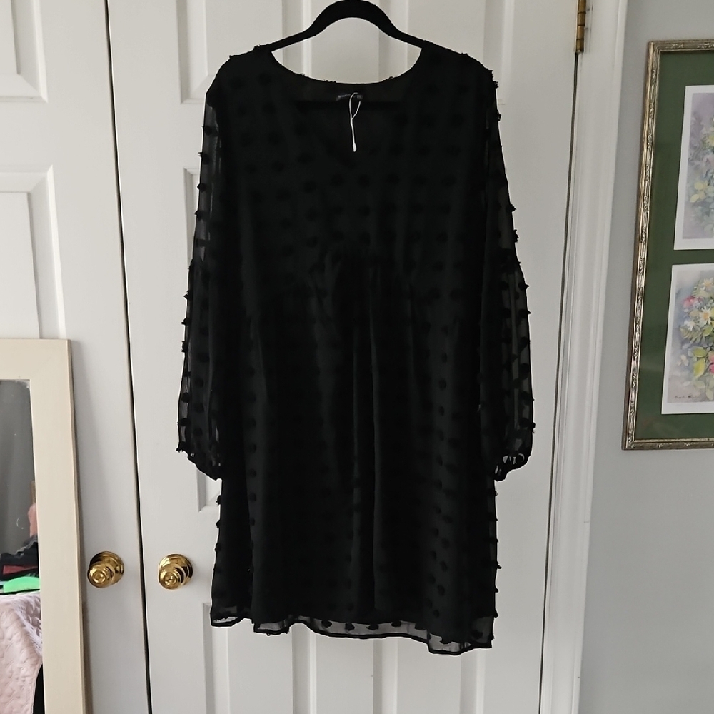 Elegant Black Sheer Dress